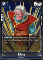 Kibito FB02-037