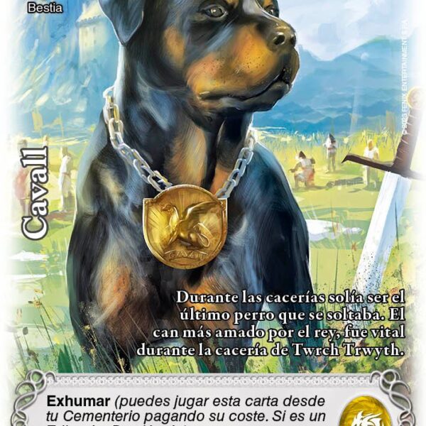 Cavall