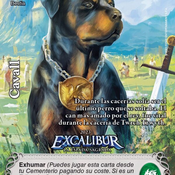 Cavall PROMO