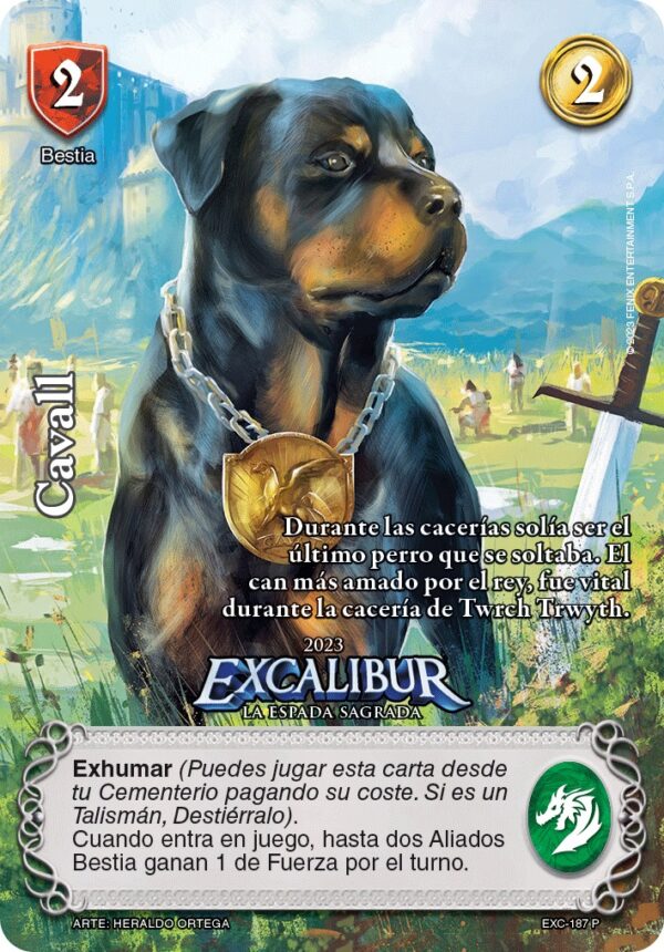 Cavall PROMO