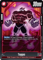 Toppo FB04-016