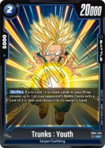 Trunks : Youth FB04-040