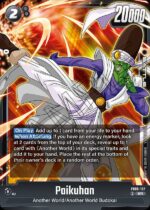 Paikuhan SR FB05 -107