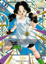 Videl SR AA FB03 - 042